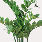 Zamioculcas Kunstplant (ZZ Plant)
