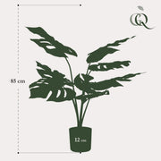 Monstera Deliciosa Kunstplant (Gatenplant)