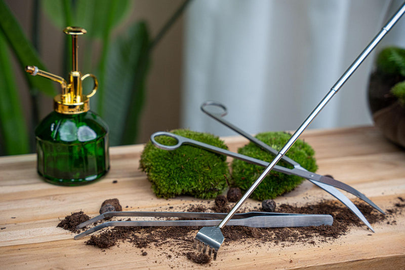 Terrarium Pincet – Metaal