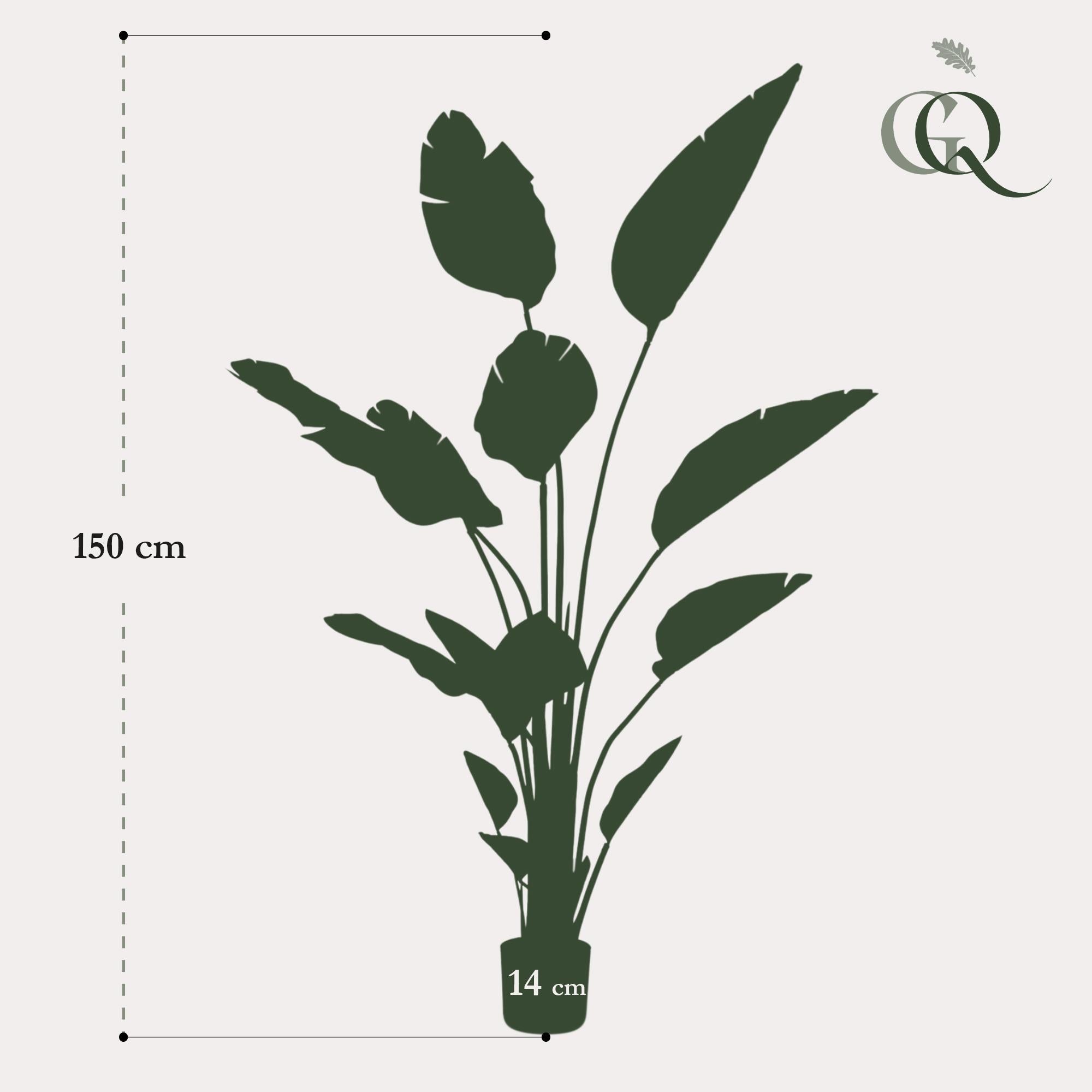 Strelitzia Nicolai Kunstplant (Paradijsvogelbloem)