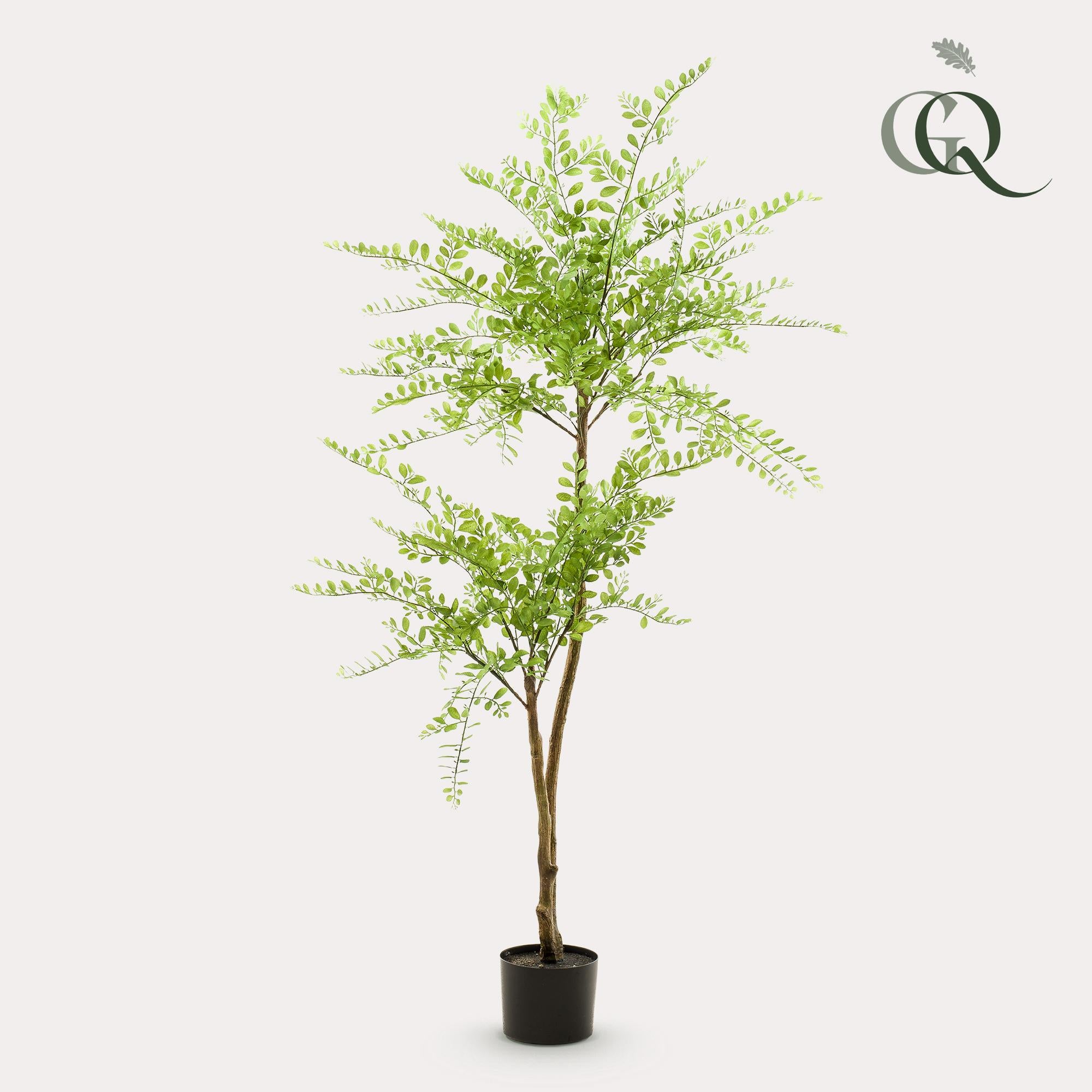 Sophora Tree Kunstplant (Honingboom)