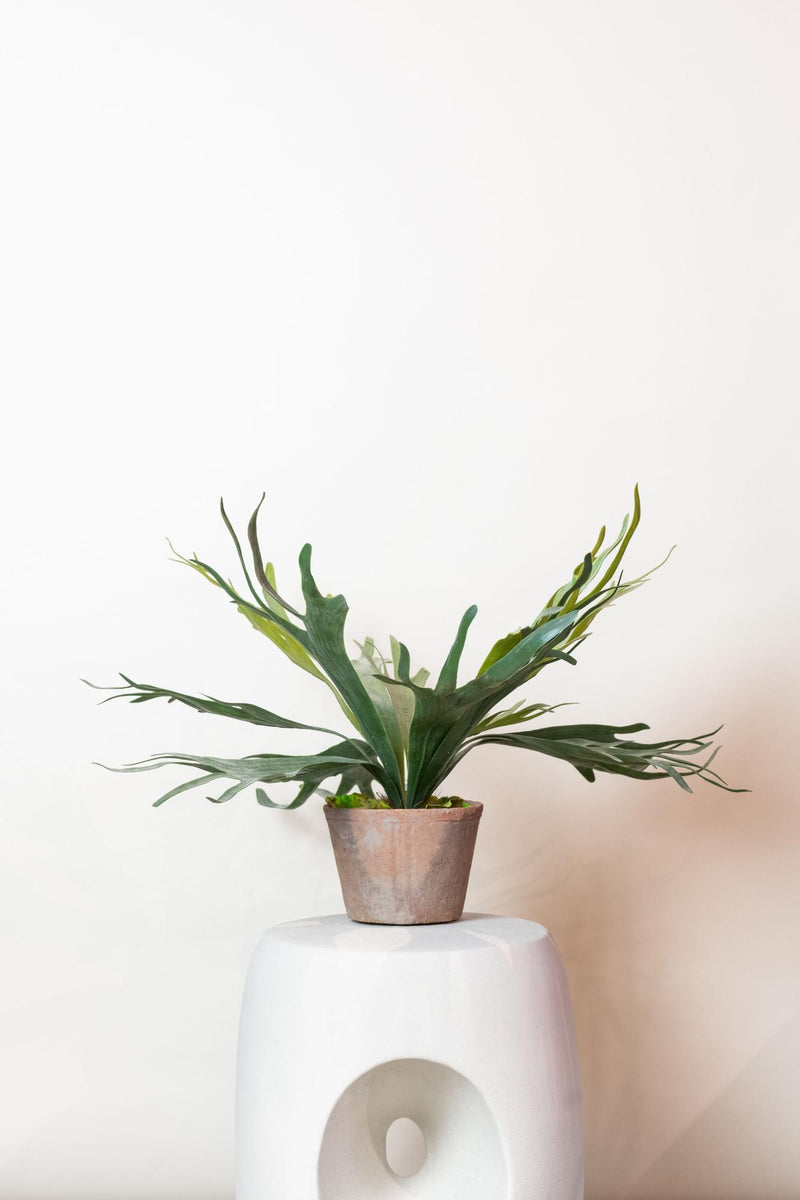 Staghorn Fern Kunstplant (Hertshoorn)
