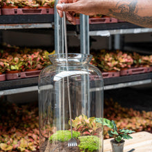 Telescopische Hark RVS - Terrarium Tool