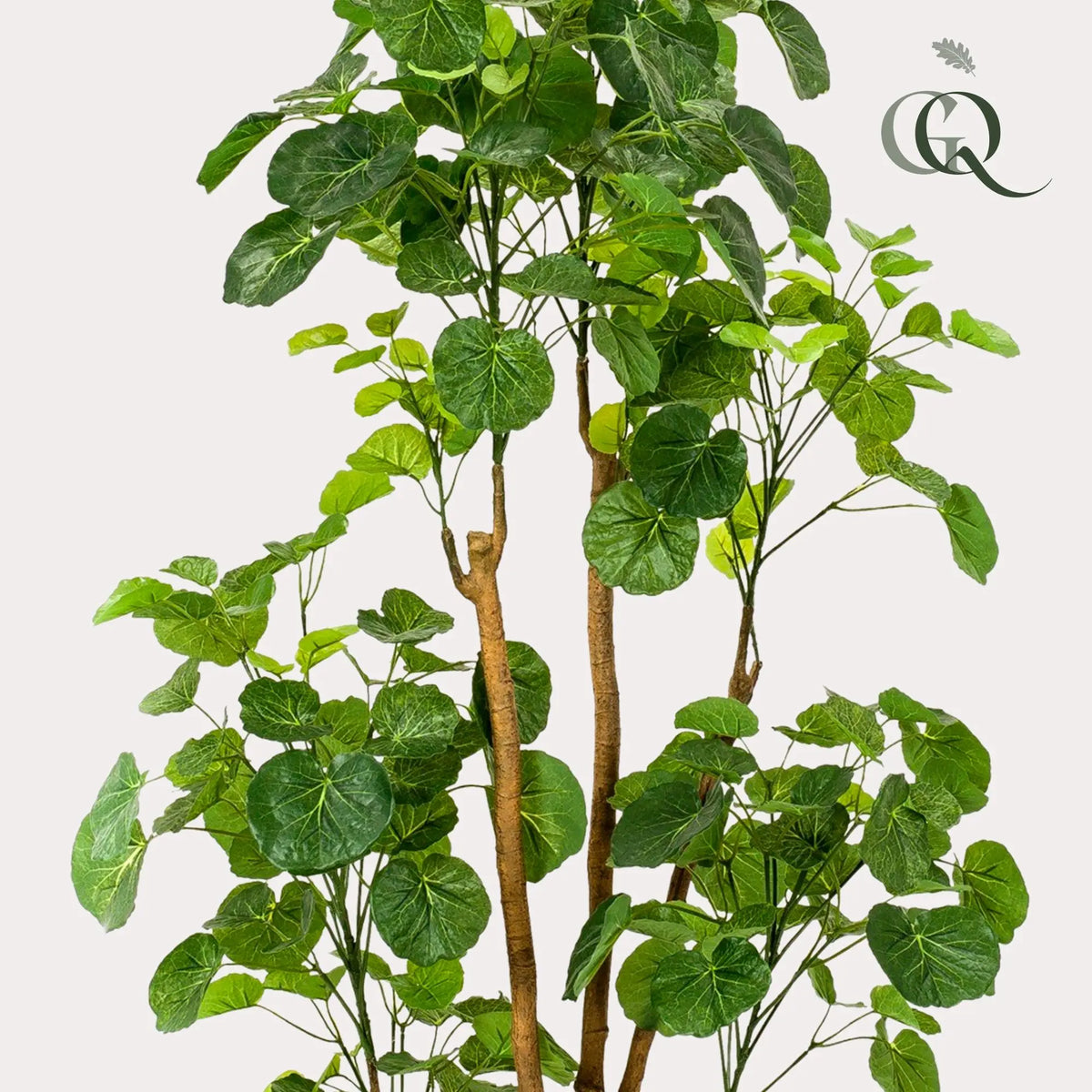 Polyscias Kunstplant (Aralia) Everspring