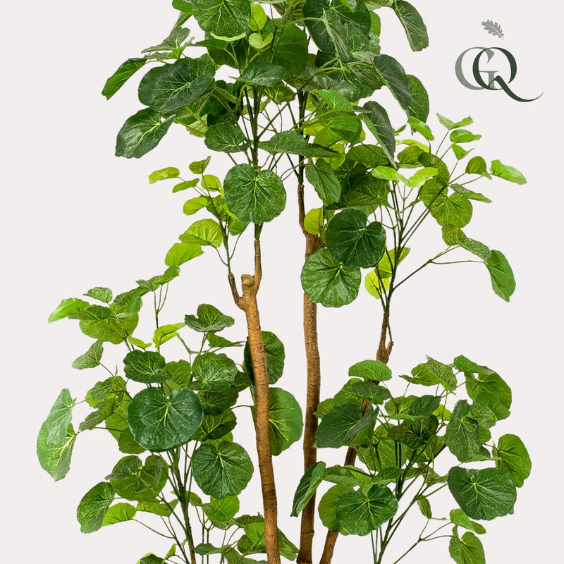 Polyscias Kunstplant (Aralia)