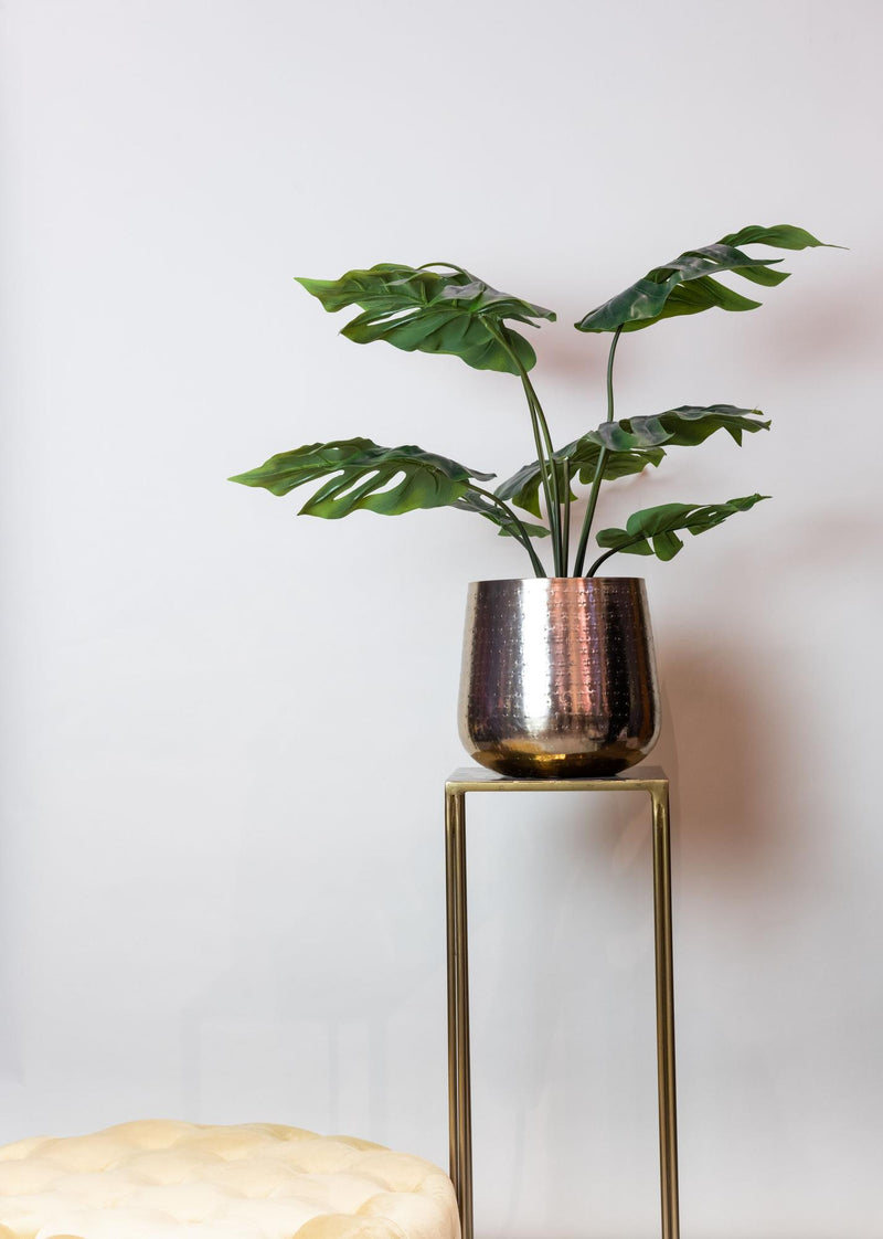 Monstera Deliciosa Kunstplant (Gatenplant)
