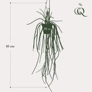 Rhipsalis Kunstplant (Koraalcactus)