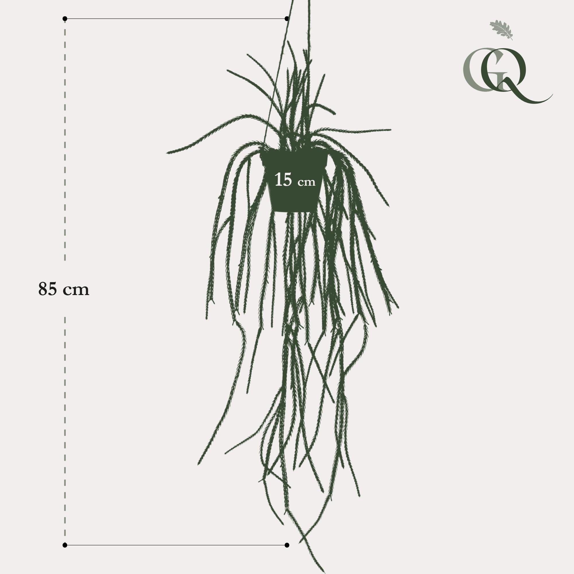 Rhipsalis Kunstplant (Koraalcactus)