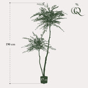 Sophora Tree Kunstplant (Honingboom)