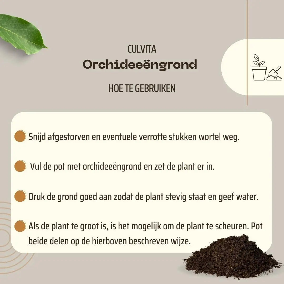 Culvita – Orchideeëngrond Everspring