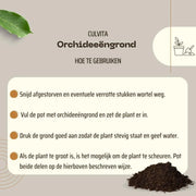 Culvita – Orchideeëngrond Everspring