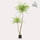 Sophora Tree Kunstplant (Honingboom)