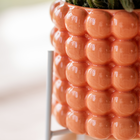 Plantenset Poppy Oranje