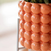 Plantenset Poppy Oranje Everspring