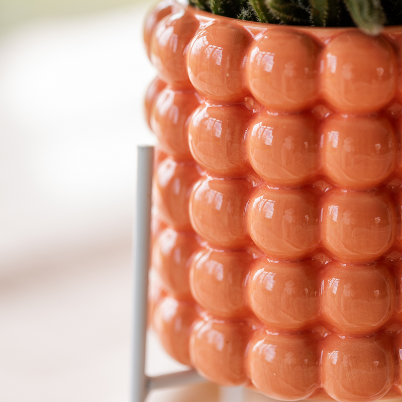 Plantenset Poppy Oranje