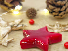 Christmas Terrarium Decoration Kit