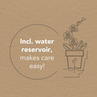 Witte Orchideeënset – Honey Dish met Waterreservoir