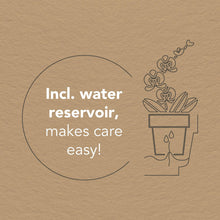 Witte Orchideeënset – Honey Dish met Waterreservoir