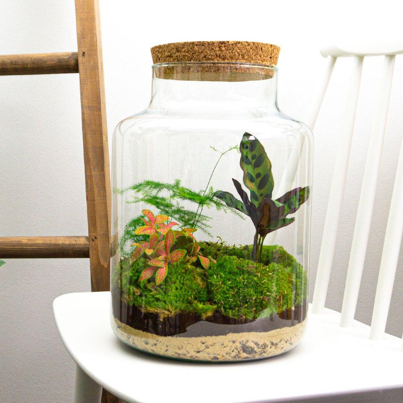 Milky Terrarium