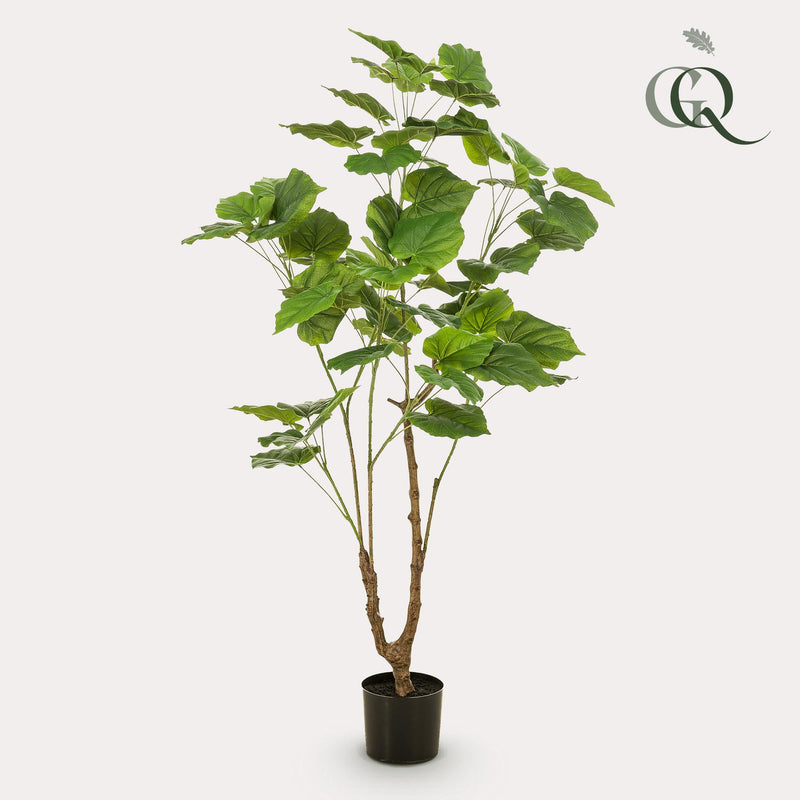 Ficus Umbellata Kunstplant (Afrikaanse Vijg)