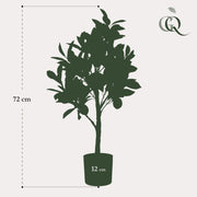 Citrus Limonia Kunstplant (Citroenboom)