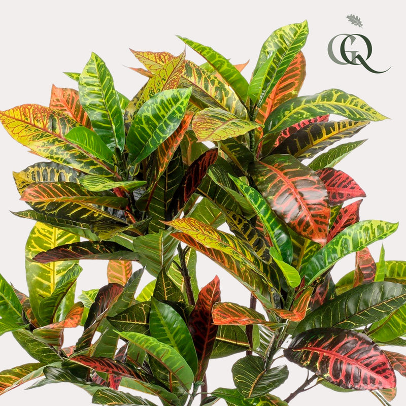 Croton Codiaeum Kunstplant (Wonderstruik)