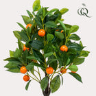 Citrus Sinensis Kunstplant (Sinaasappelboom)