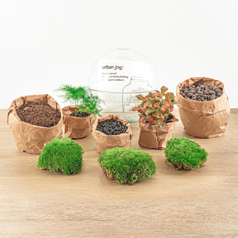 Dome Red Terrarium