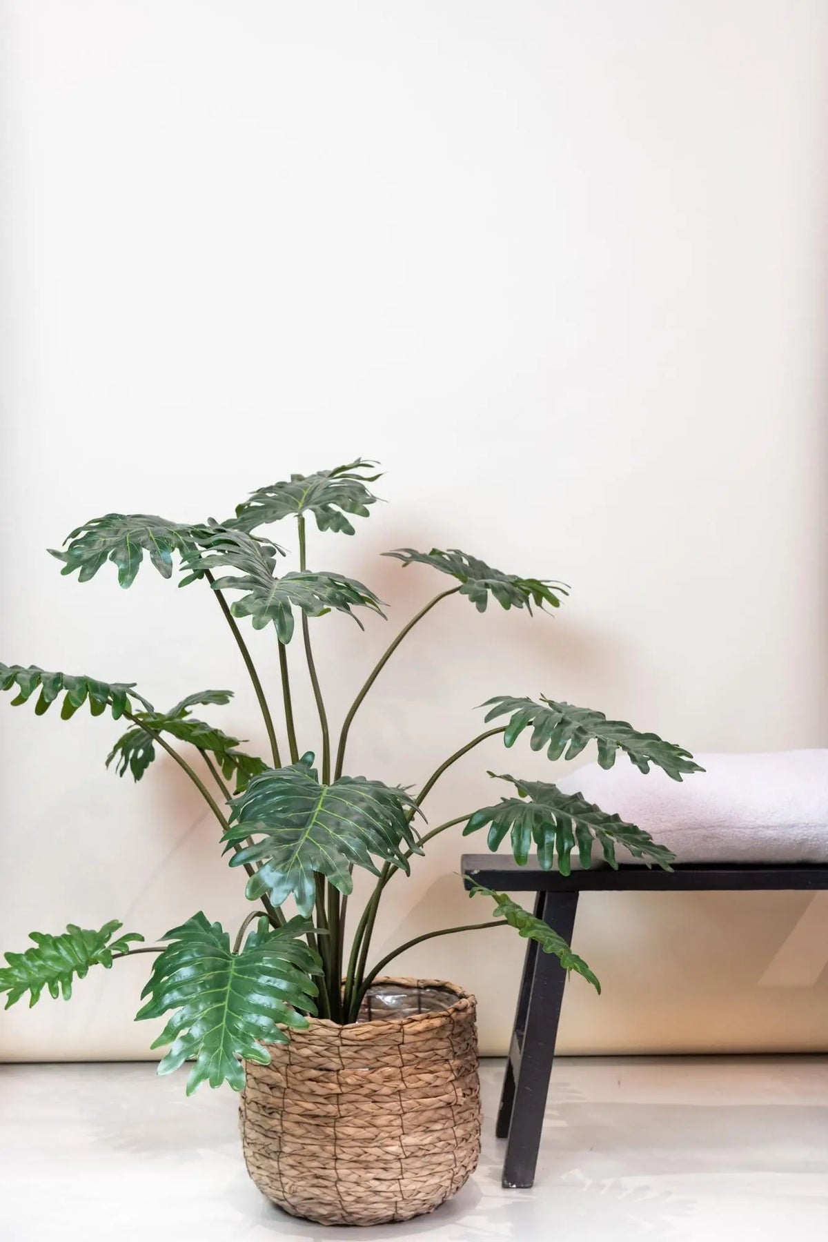 Philodendron Kunstplant Everspring