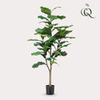 Ficus Lyrata Kunstplant (Tabaksplant) Everspring