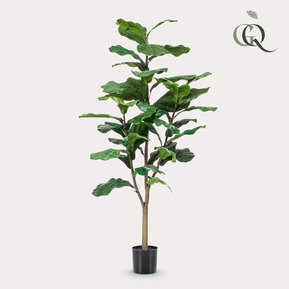 Ficus Lyrata Kunstplant (Tabaksplant) Everspring
