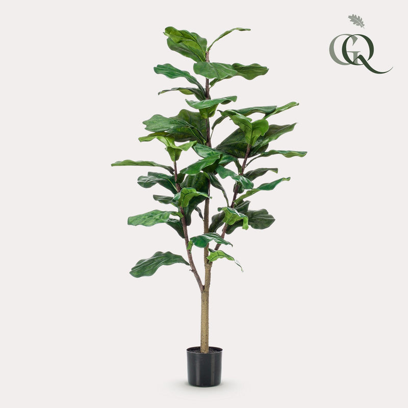 Ficus Lyrata Kunstplant (Tabaksplant)
