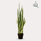 Sansevieria Trifasciata Kunstplant (Vrouwentong)