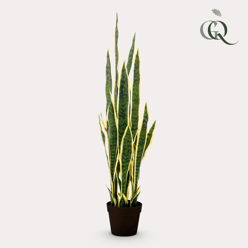 Sansevieria Trifasciata Kunstplant (Vrouwentong)