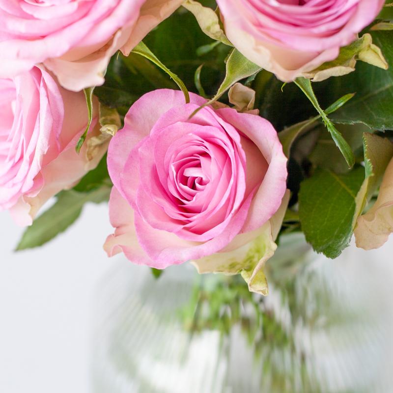 Sweet Roses - Roze Rozen in Brievenbuspakket