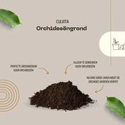Culvita – Orchideeëngrond Everspring
