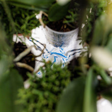 Witte Orchideeënset – Honey Dish met Waterreservoir