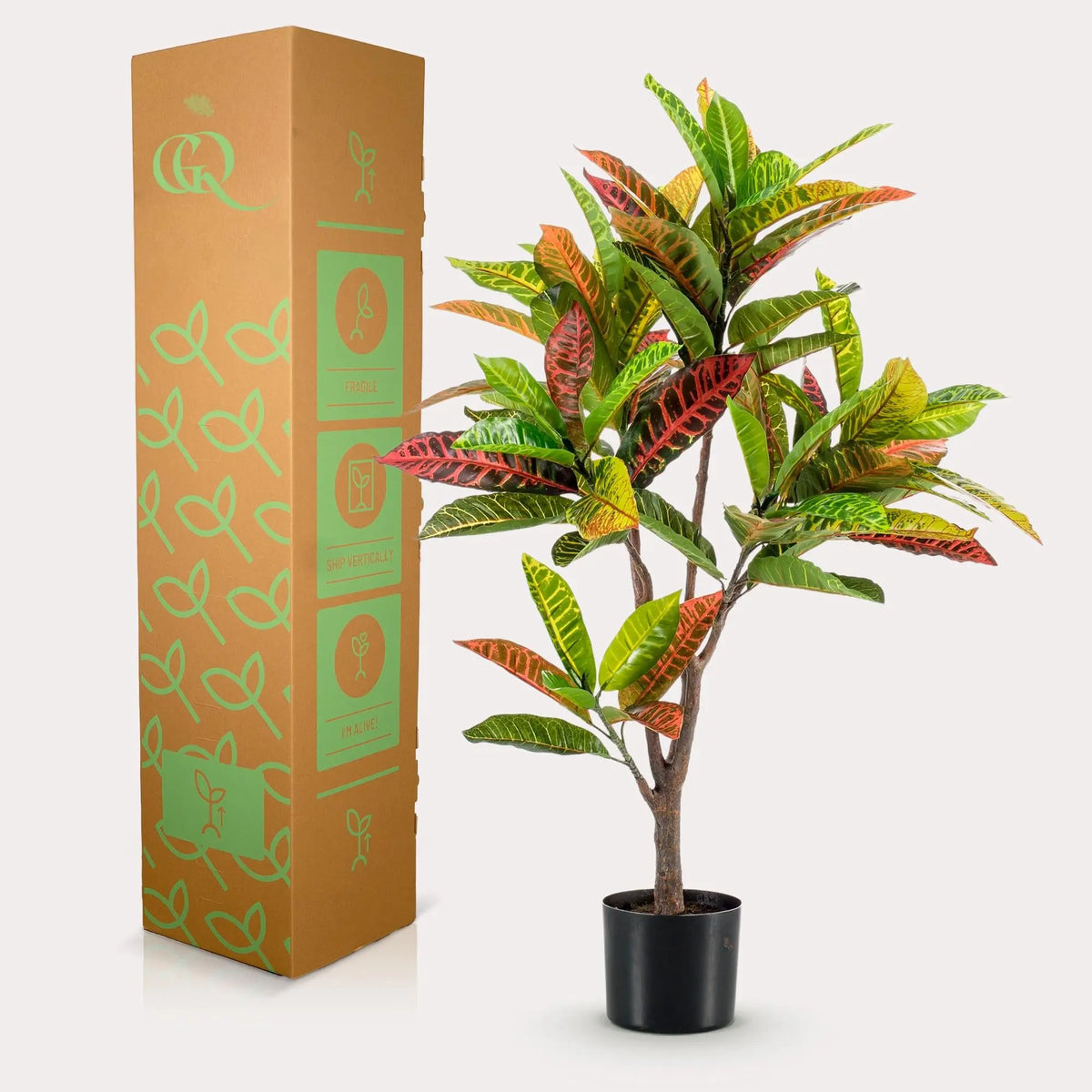 Croton Codiaeum Kunstplant (Wonderstruik) Everspring