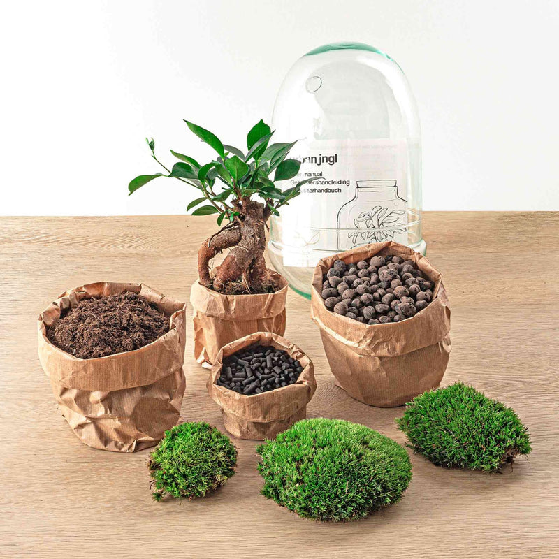 Egg Bonsai Terrarium