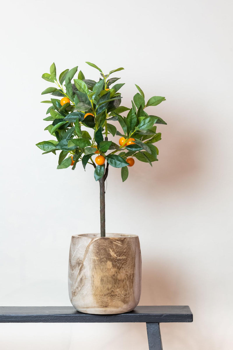 Citrus Sinensis Kunstplant (Sinaasappelboom)