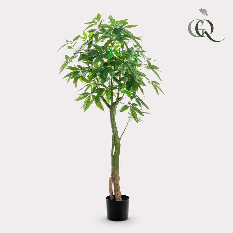 Pachira Aquatica Kunstplant (Geldboom)