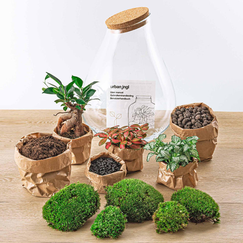 Drop XL Bonsai Terrarium