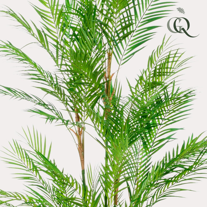 Chamaedorea Elegans Kunstplant (Bergpalm)