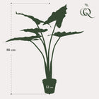 Alocasia Frydek Kunstplant (Olifantsoor)