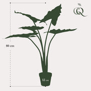 Alocasia Frydek Kunstplant (Olifantsoor)