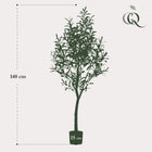 Kunst Olijfboom (Olea europaea) Everspring
