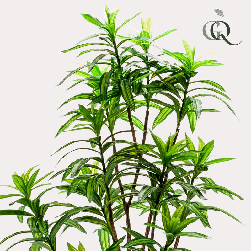 Dracaena Kunstplant (Drakenboom)