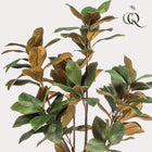 Magnolia Grandiflora Kunstplant Everspring