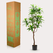Dracaena Kunstplant (Drakenboom) Everspring