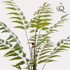 Rumohra Adiantiformis Kunstplant (Ledervaren)